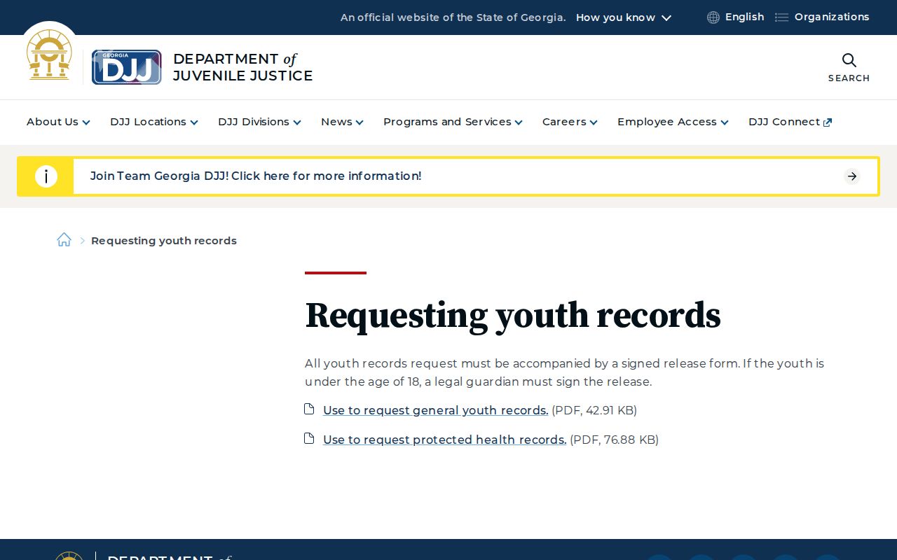 Crisp County criminal court dockets youth record access